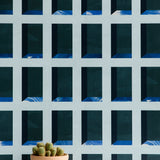 A potted cactus stands in front of a wall papered in a dimensional grid print in shades of blue, navy and turquoise.