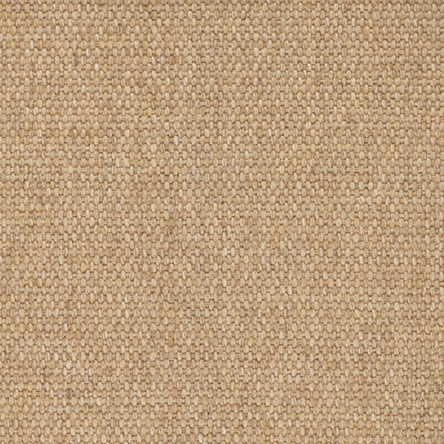 Sisal broadloom carpet swatch in a flat grid weave in "Doeskin" beige.