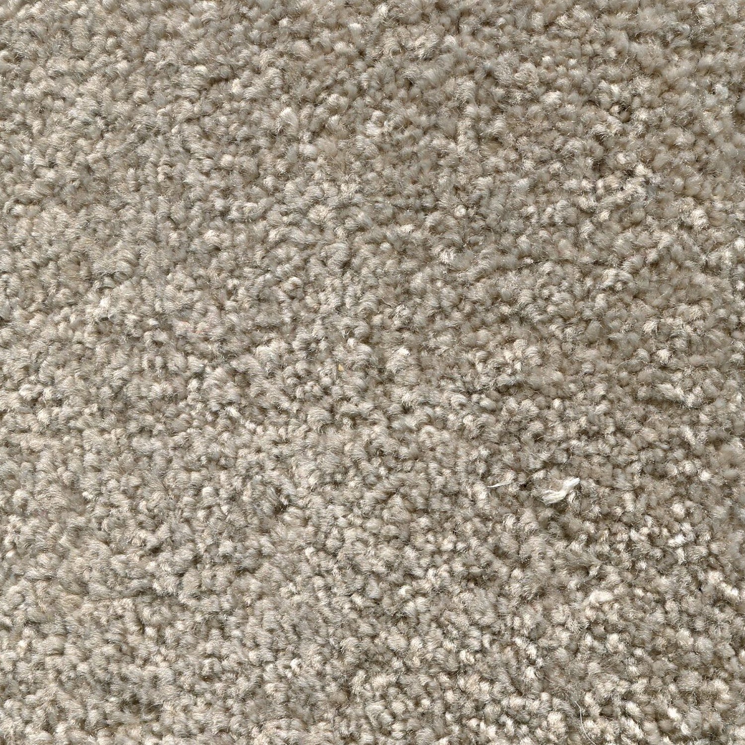 Nylon broadloom carpet swatch in a cut pile texture in tan.