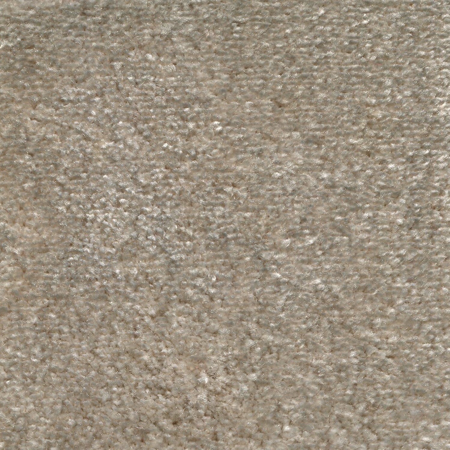 Synthetic blend broadloom carpet swatch in a cut pile texture in sable.