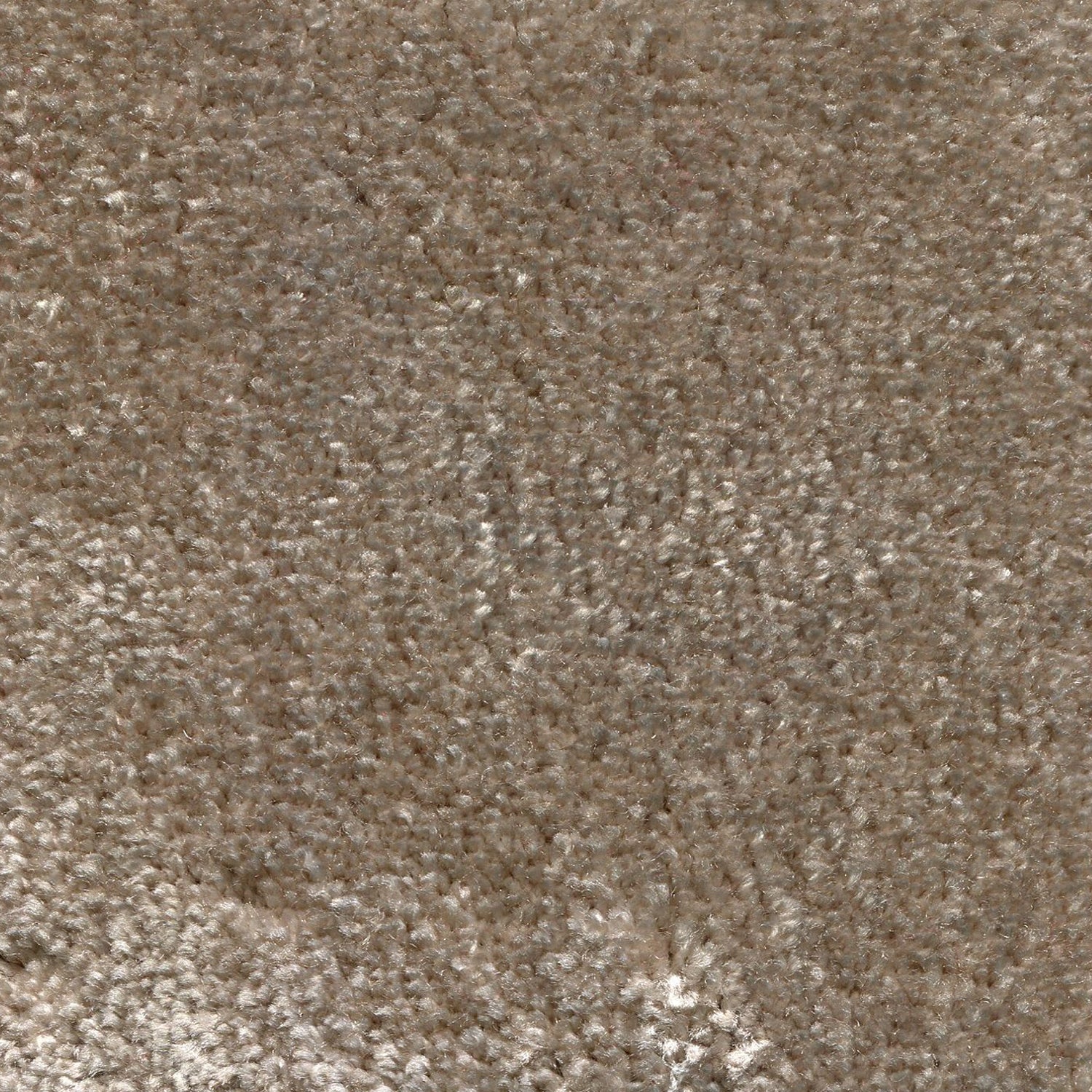 Synthetic blend broadloom carpet swatch in a cut pile texture in light brown.