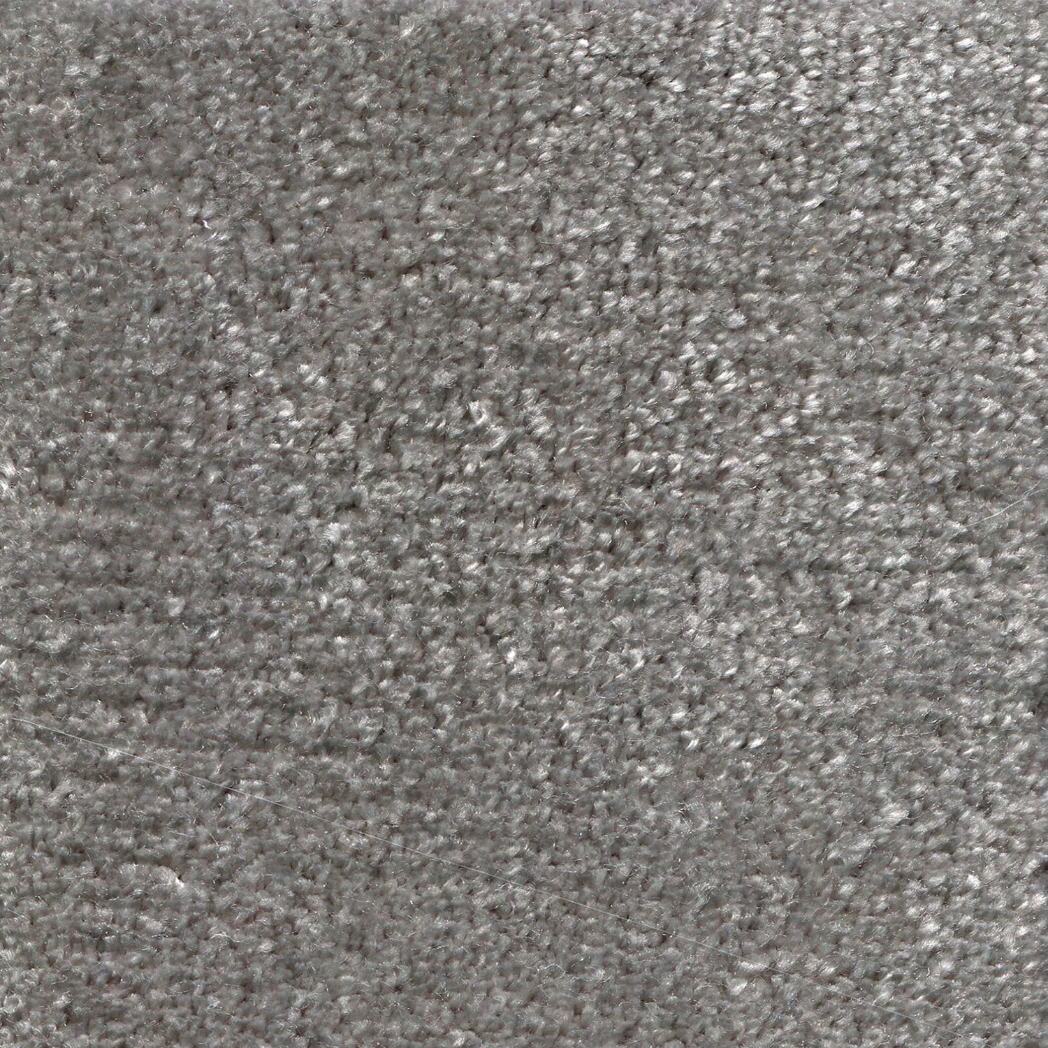 Synthetic blend broadloom carpet swatch in a cut pile texture in gray.