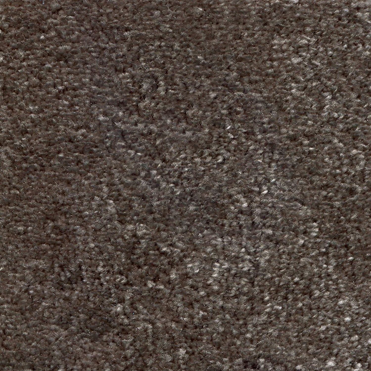 Synthetic blend broadloom carpet swatch in a cut pile texture in charcoal.