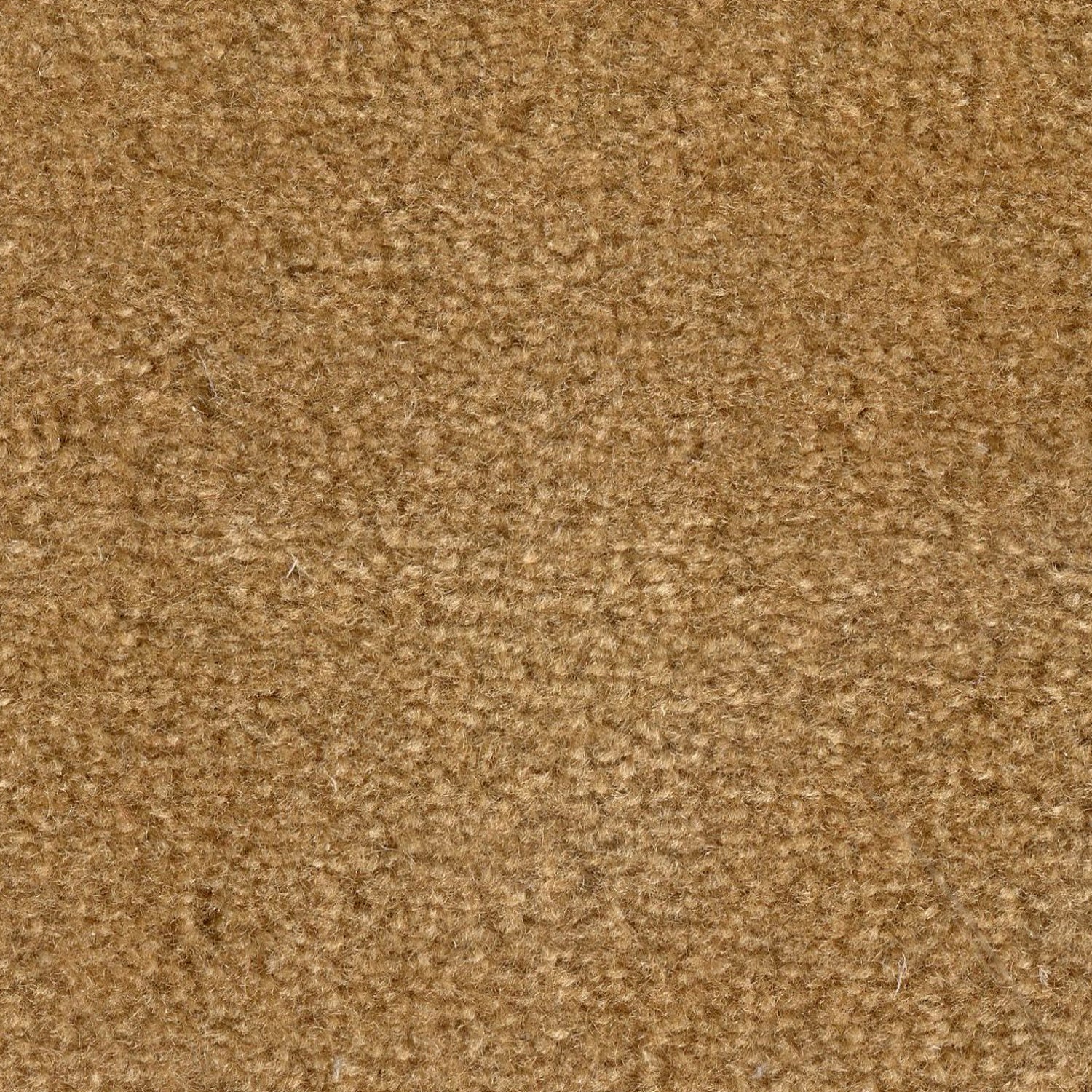 Wool broadloom carpet swatch in a cut pile texture in gold.
