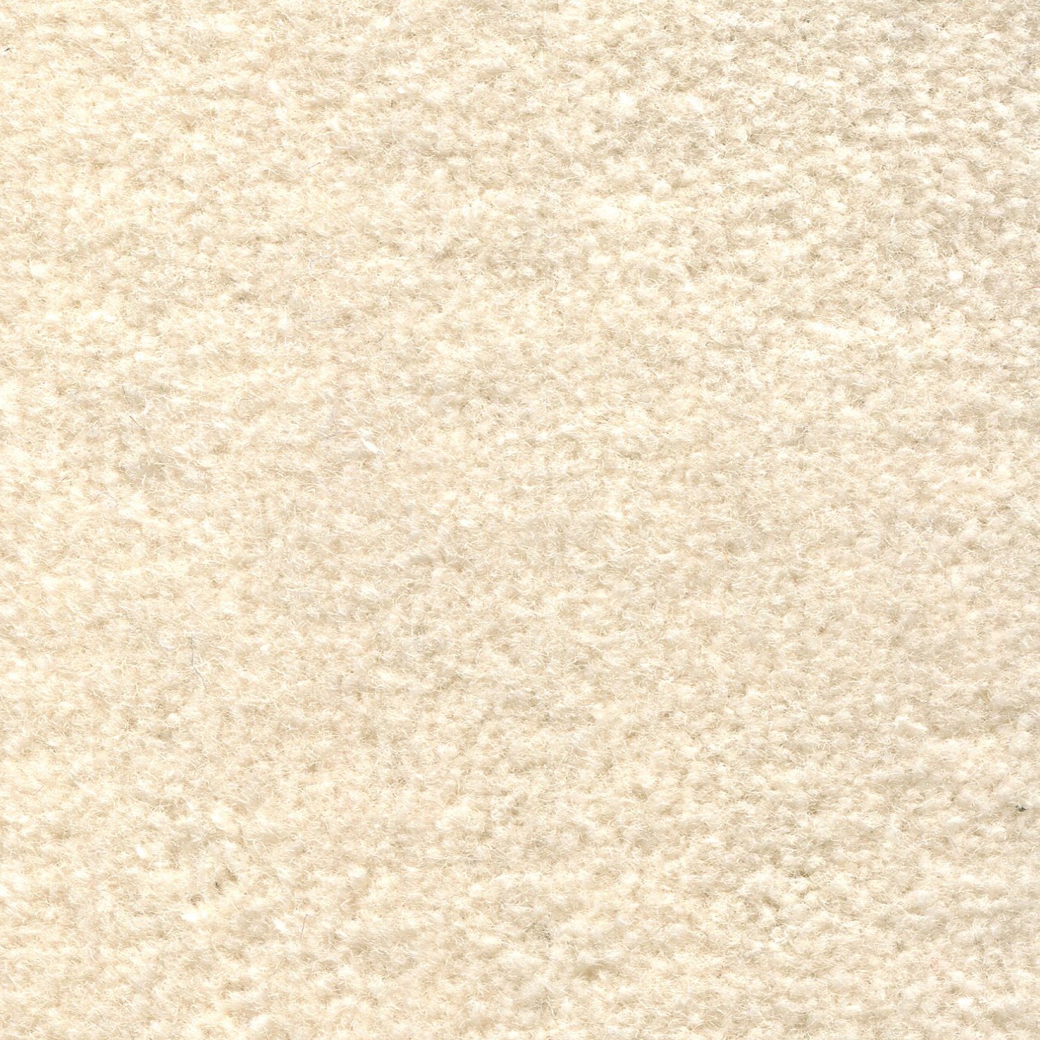 Wool broadloom carpet swatch in a cut pile texture in cream.