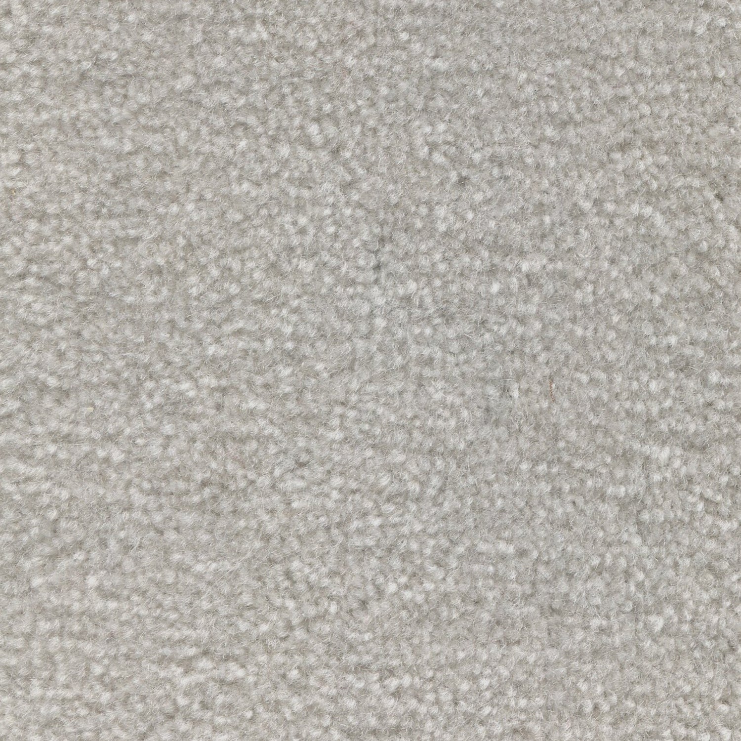 Wool broadloom carpet swatch in a cut pile texture in silver.